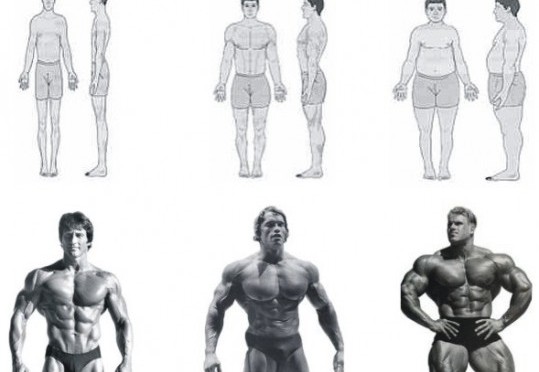 Typy budowy ciała i pomiary